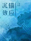 沉锚效应ppt